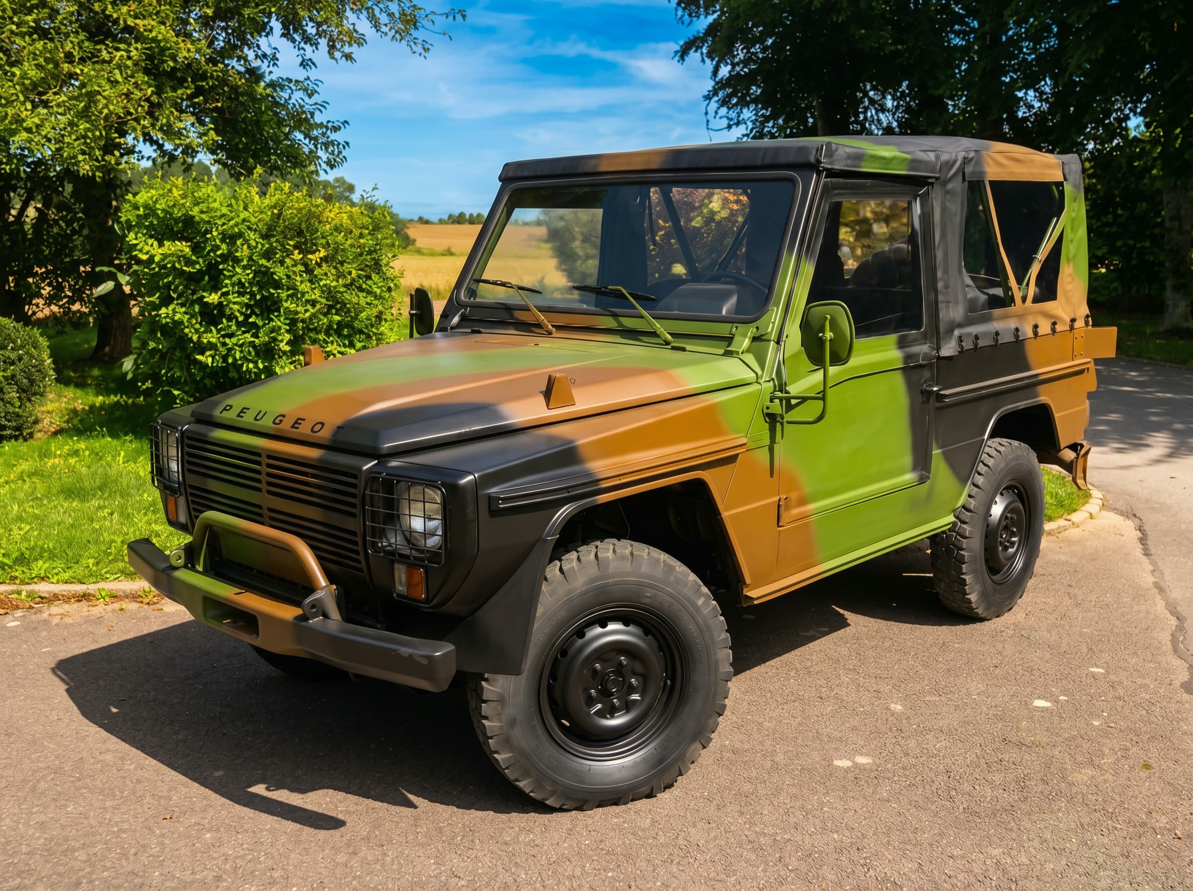 VLTT PEUGEOT P4 RENOVE COLLECTION