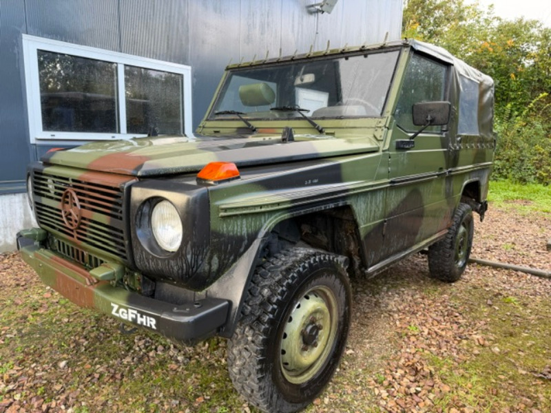 MERCEDES G250 WOLF